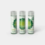 Mélange Mandala vert